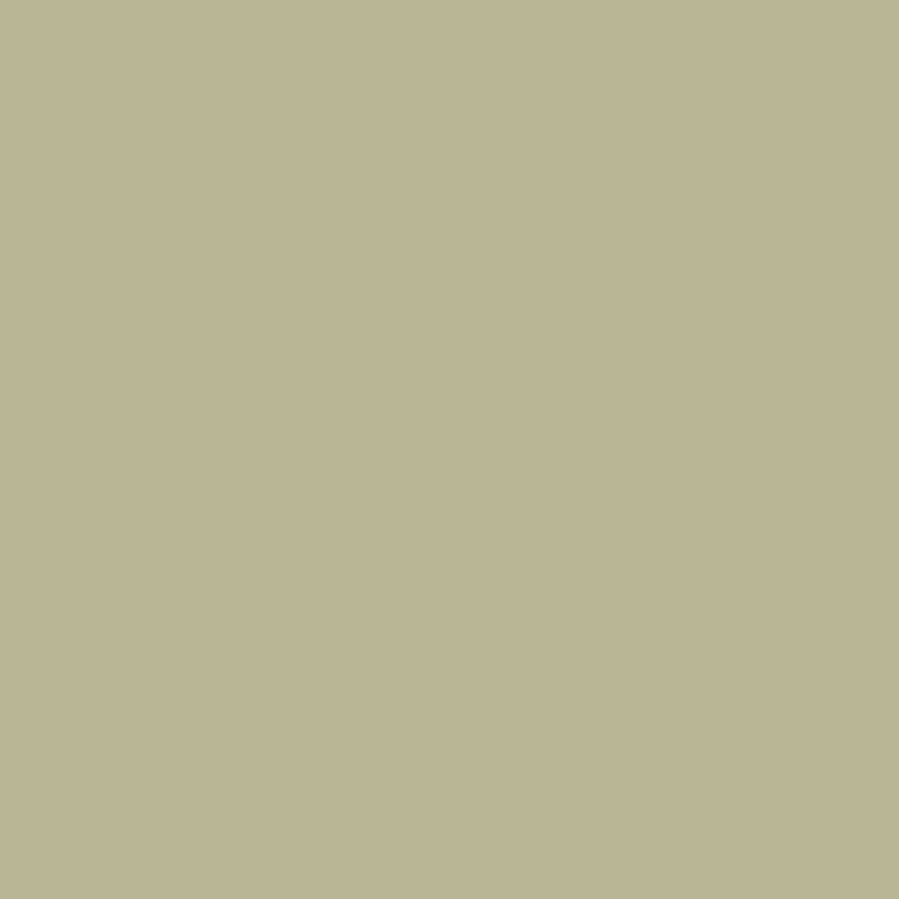 Fossil-3_1816292e-0f48-4f72-a1a9-21c81bbaae02.png