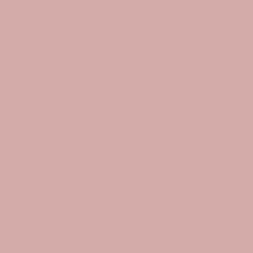 Salmon-2_b1b545d8-b2bc-4a18-9a29-01b479801044.png
